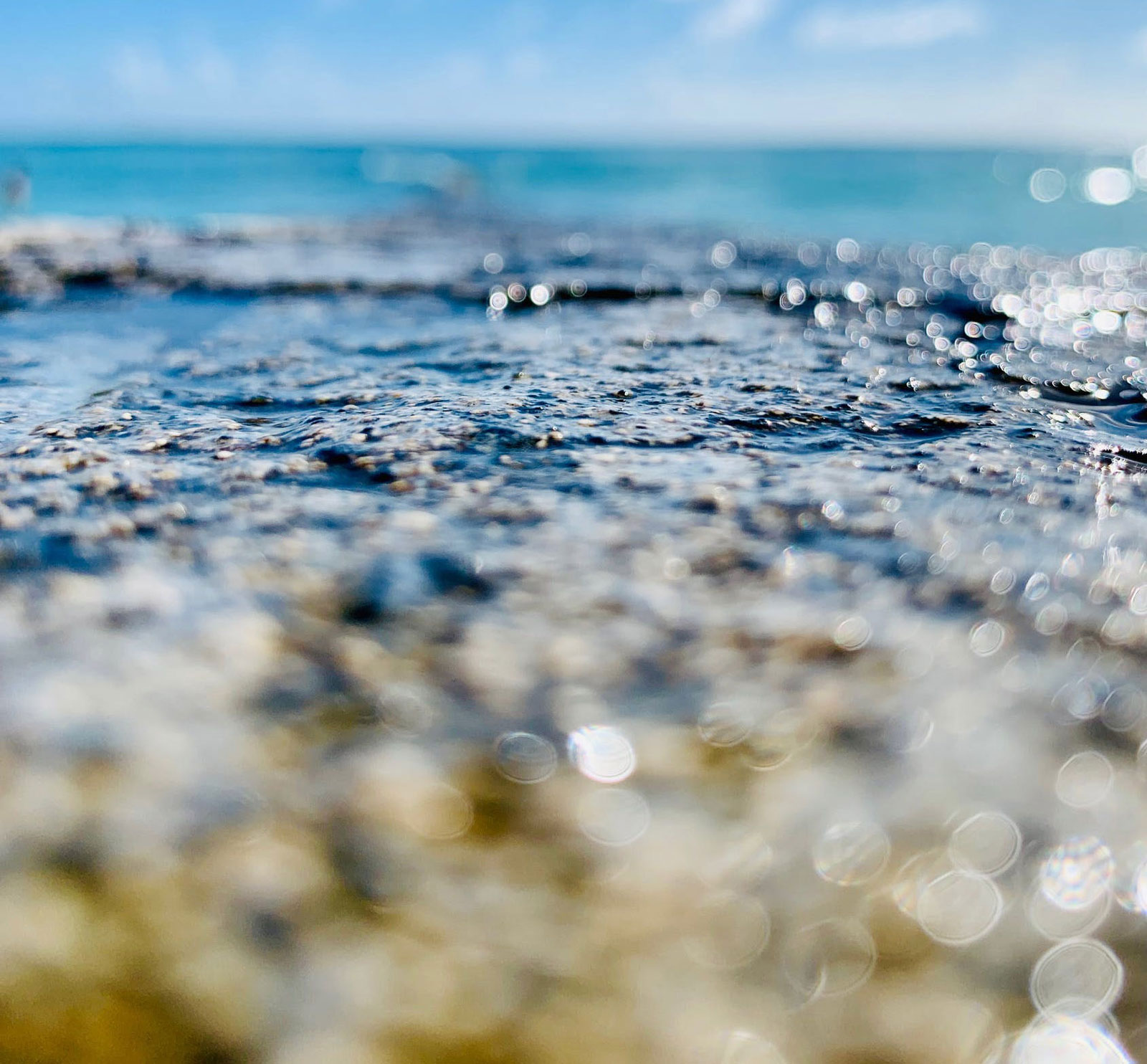 Pineapple Publishing & Graphic Design - Web Design in Honolulu